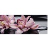Панно Porto Orchide lila «Orchide lila»